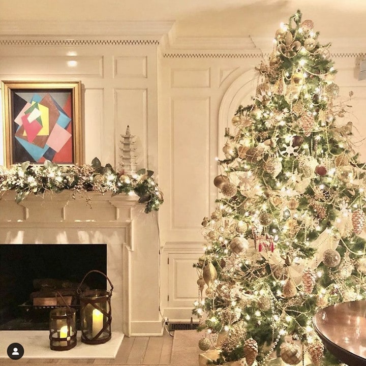 Chelsea House Make Your Home Come Alive